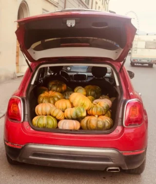 Il nostro ingrediente preferito della stagione autunno/inverno: la ZUCCA! Napoletana, butternut, delica, mantovana..ci piacciono tutte! Ci facciamo zuppe e vellutate, pasta pasticciata, rustici, torte salate, e la cuociamo al forno per i nostri asili. I bambini adorano la nostra zucca golosa.

PUMPKINS: our favourite ingredient during the autumn and winter season. Butternut, delica, napoletana, mantovana..we like them all! We use it in many different recipes: soups, pasta sauce, pies, and baked. The kids of our kindergarten love our baked “zucca golosa” 🎃

#zucca #pumpkin #winterrecipes #ricetteinvernali #welovepumpkins #zuccalovers #pumpkins #organicveggies #organiccatering #cateringbio #zenzerolove